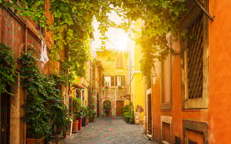 Callejón estrecho en el Trastevere con suelo empedrado, fachadas ocres, plantas en macetas y enredaderas formando un dosel con luz de atardecer.