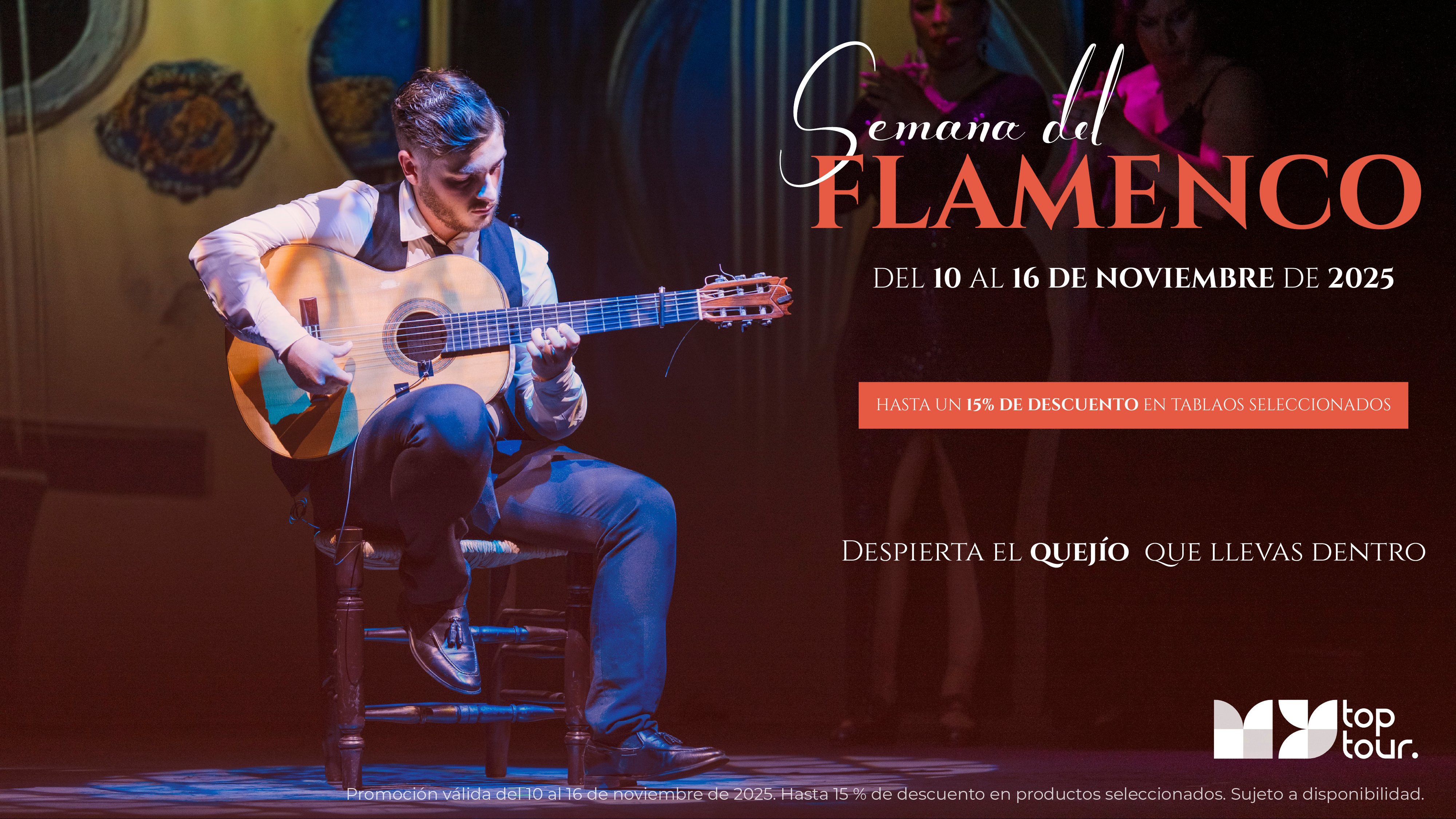 BANNER DEL FLAMENCO