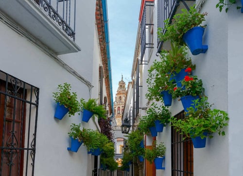 calle-cordoba-mezquita