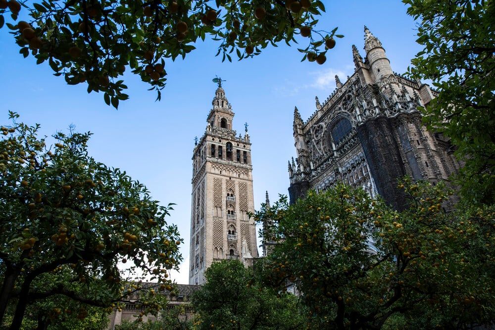 Vista desde el suelo de la Giralda y la Catedral de Sevilla, imponentes bajo un cielo azul