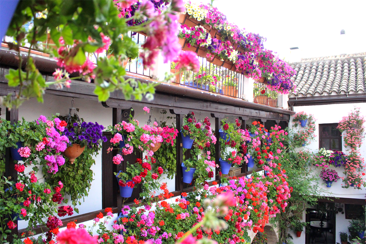 patio-cordoba