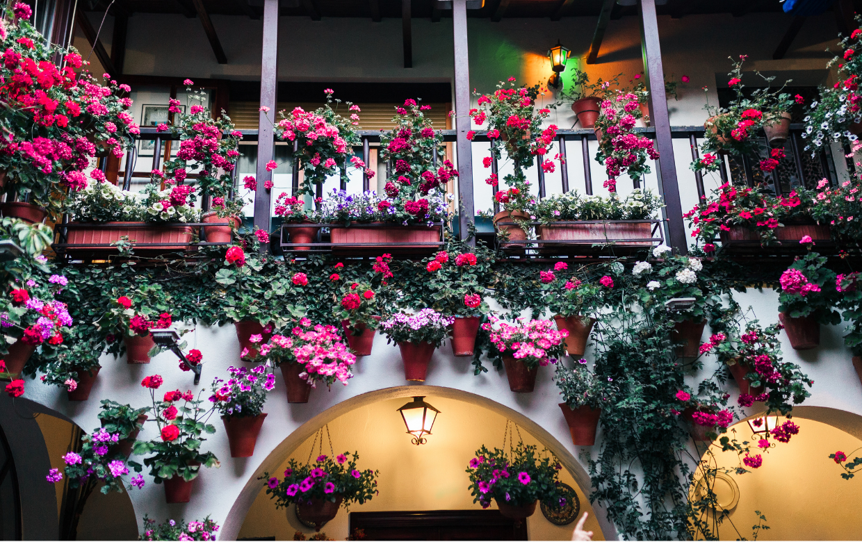ruta patios Córdoba